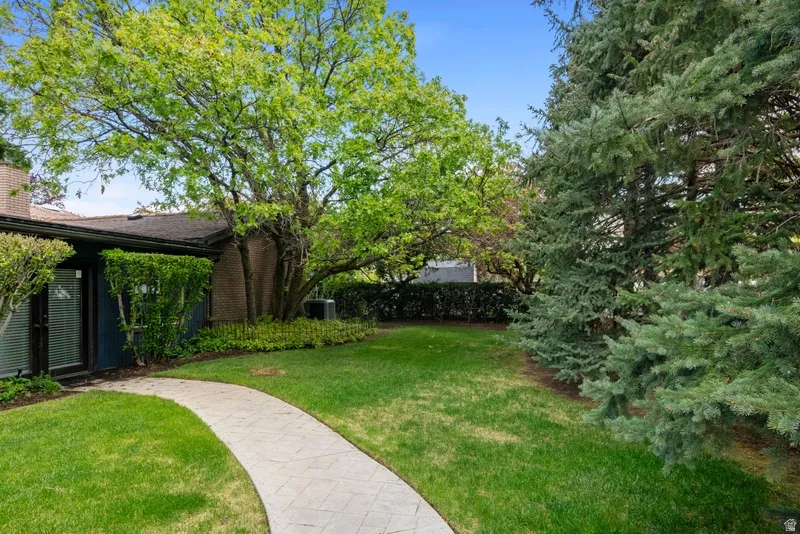 View of green lawn
