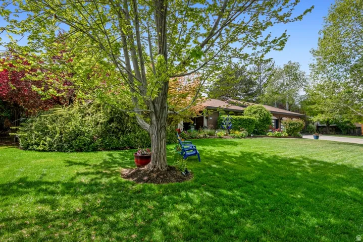 View of grassy yard