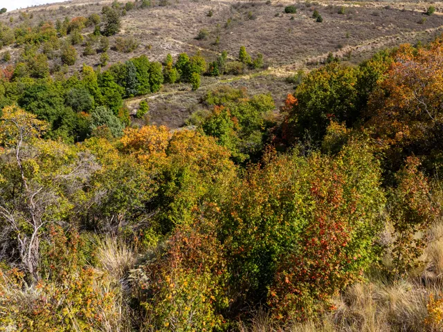 6532 E Chapparal Rd, Huntsville, Utah 84317