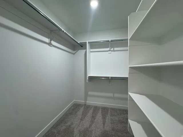 Walk in closet featuring light colored carpet