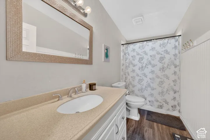 Full bathroom featuring vanity, a shower with curtain, and dark wood-type flooring