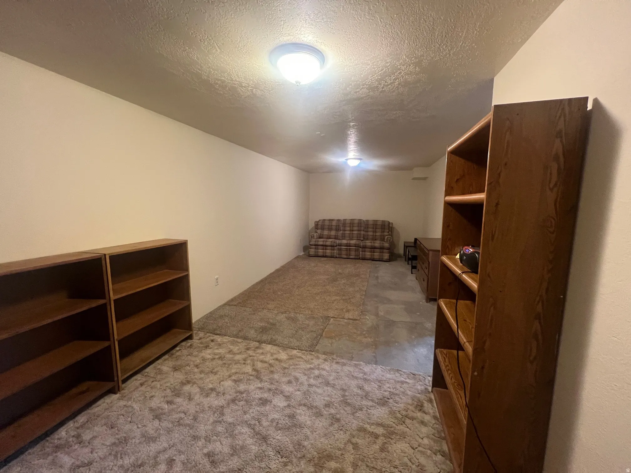Basement family room