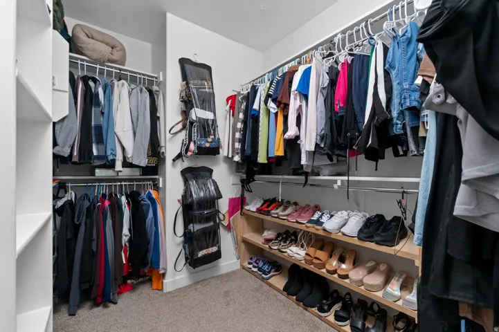 Walk in closet with light colored carpet