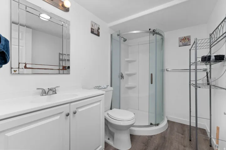 Bathroom with vanity, a shower stall, and dark wood-type flooring