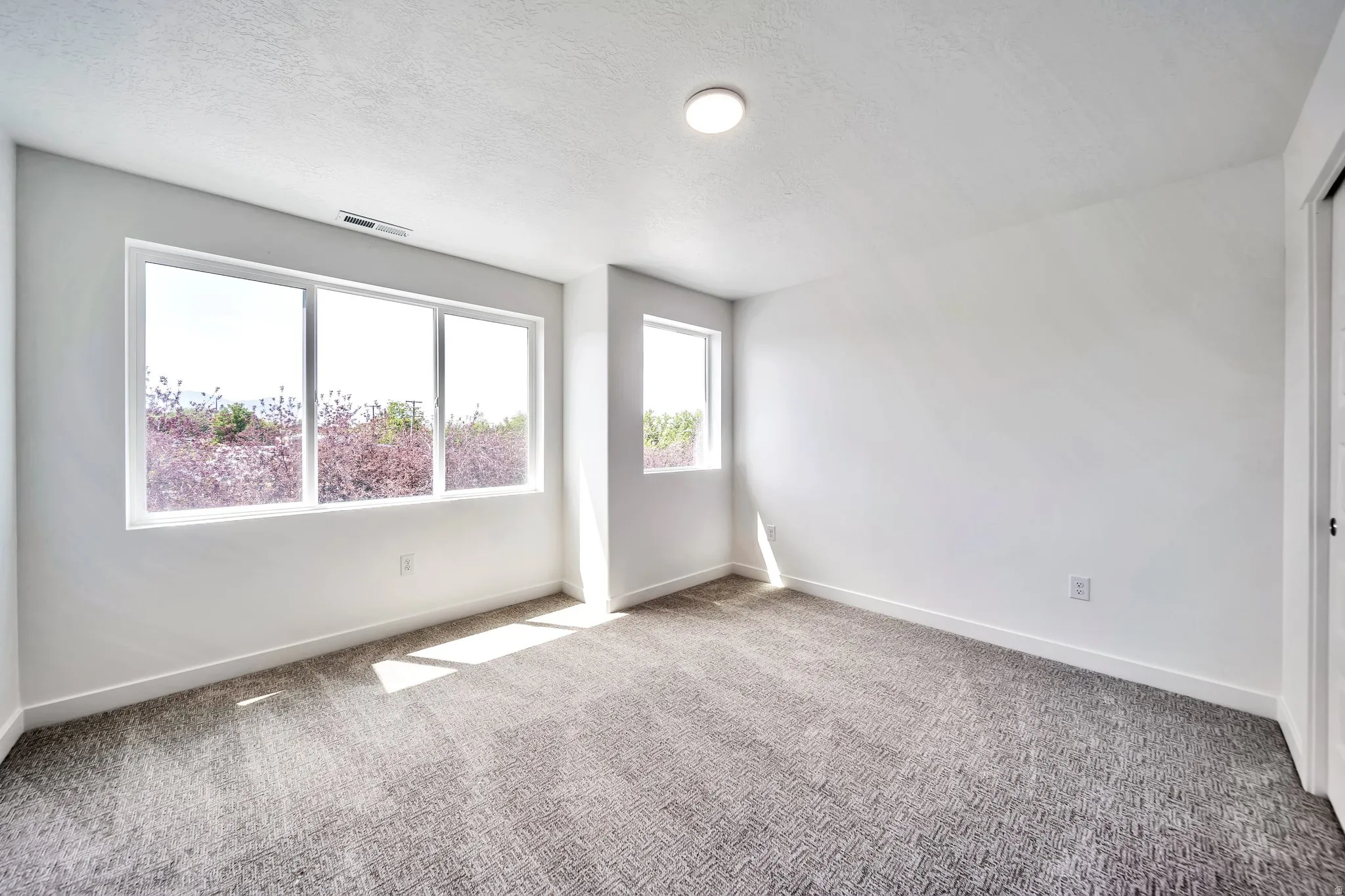Unfurnished room with carpet floors and a textured ceiling
