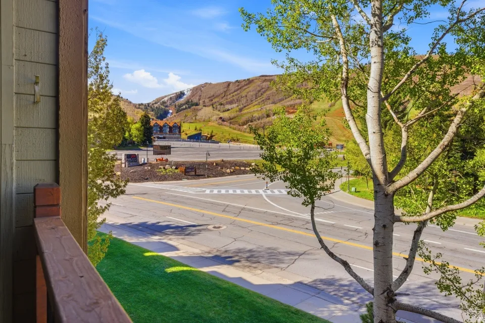 View of mountain background