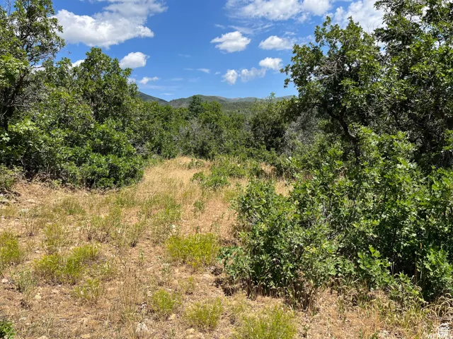 View of woods featuring a mountain view