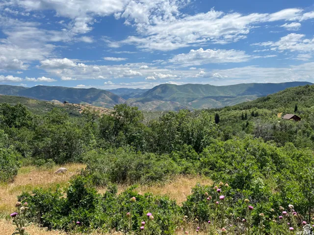 View of mountain background