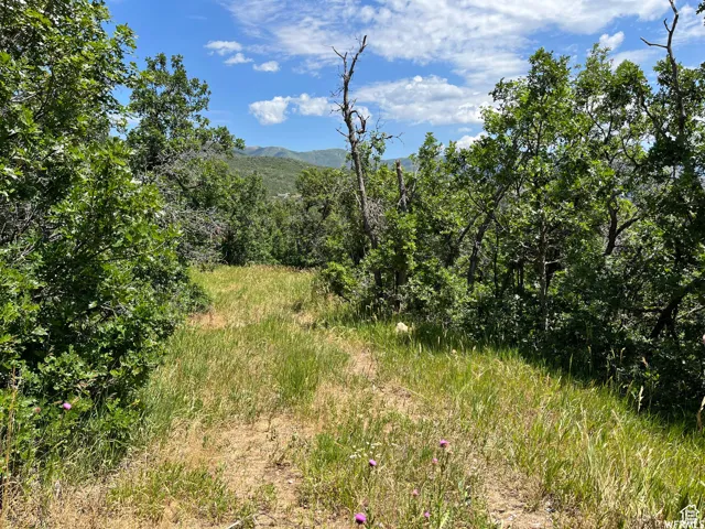 View of mountain backdrop