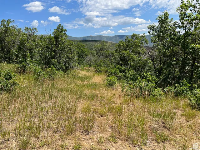 View of mountain background featuring a forest