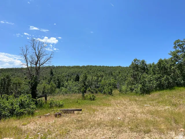 View of wooded area