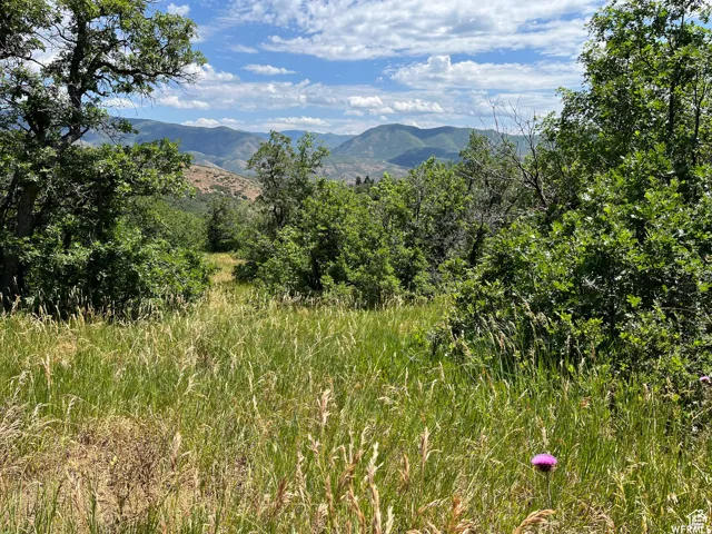 View of mountain background