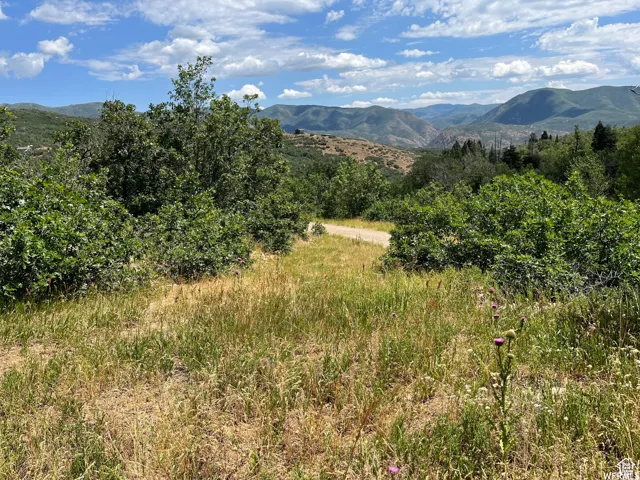 View of mountain background