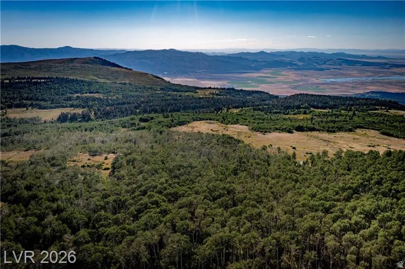 View of mountain backdrop with a forest
