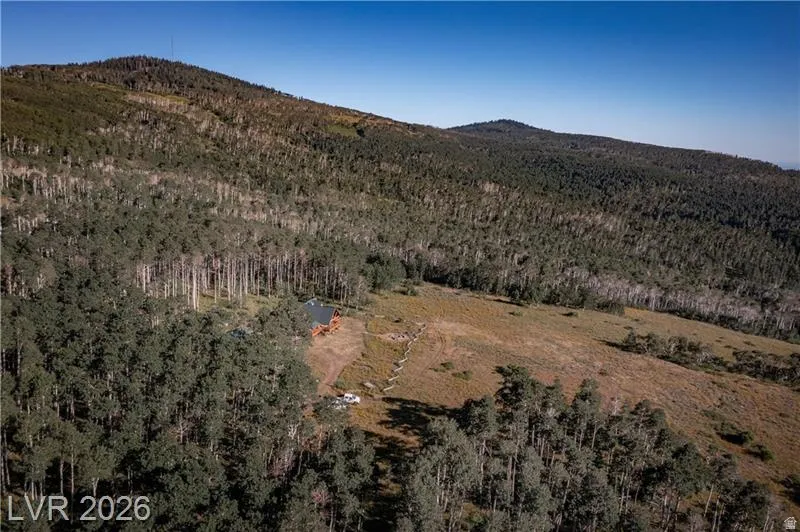 Drone / aerial view of a forest and mountains