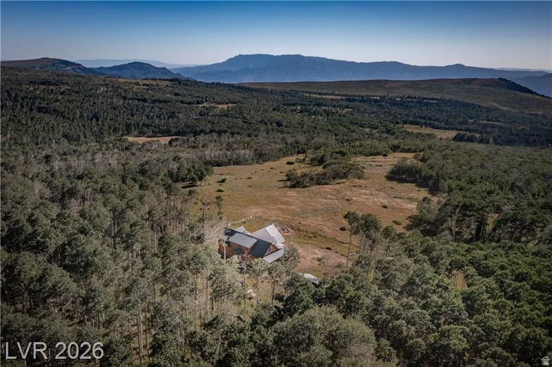 Bird's eye view of a forest and a mountainous background