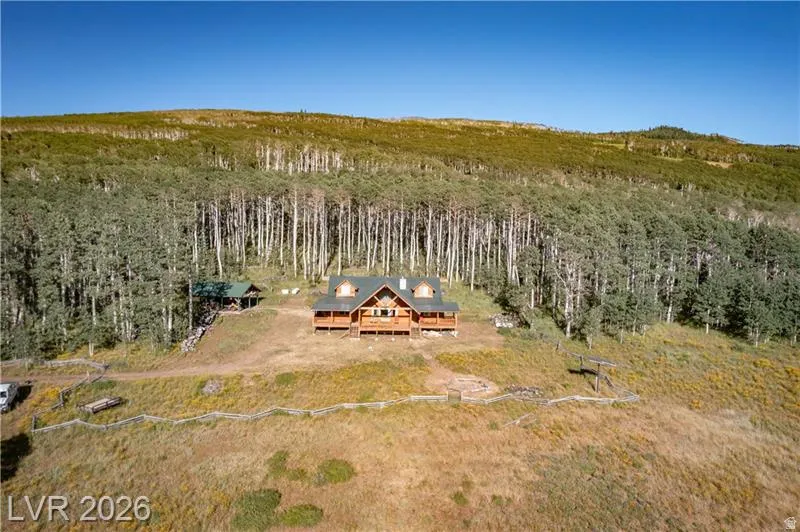 Aerial view of sparsely populated area featuring a forest