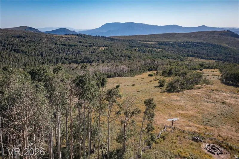 View of mountain background featuring a heavily wooded area