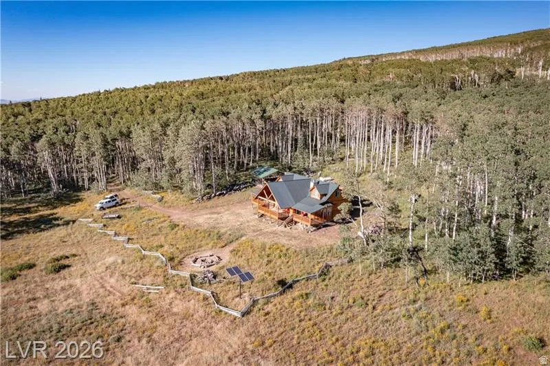 Bird's eye view of a heavily wooded area