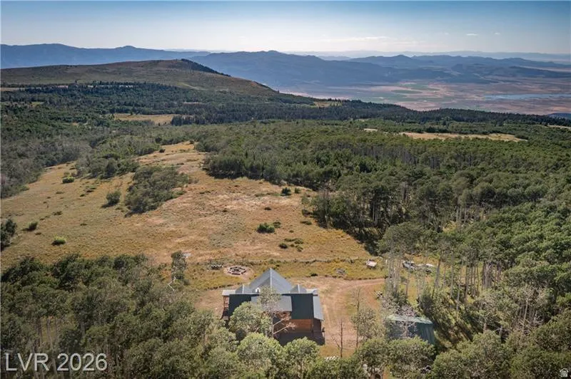 Aerial view of mountains and a heavily wooded area