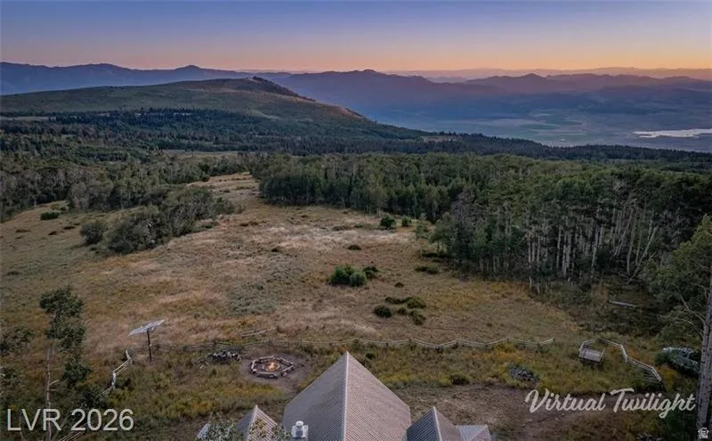 Bird's eye view of a mountainous background and a forest