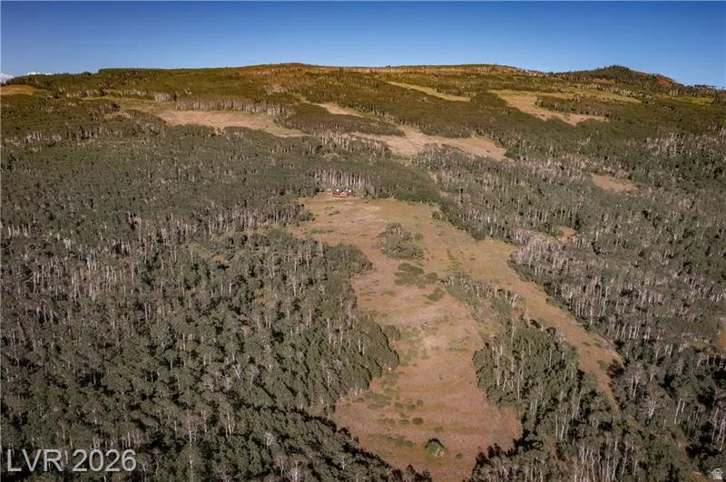 Drone / aerial view of a heavily wooded area and a mountain backdrop