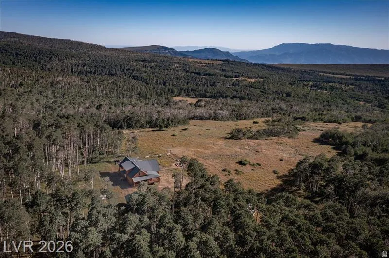 Bird's eye view of a heavily wooded area and a mountain backdrop