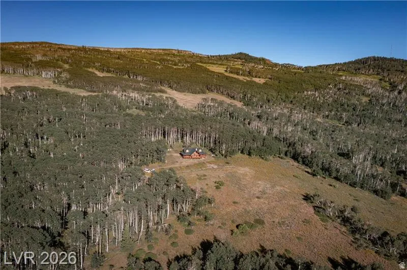 Bird's eye view of a heavily wooded area and a mountainous background