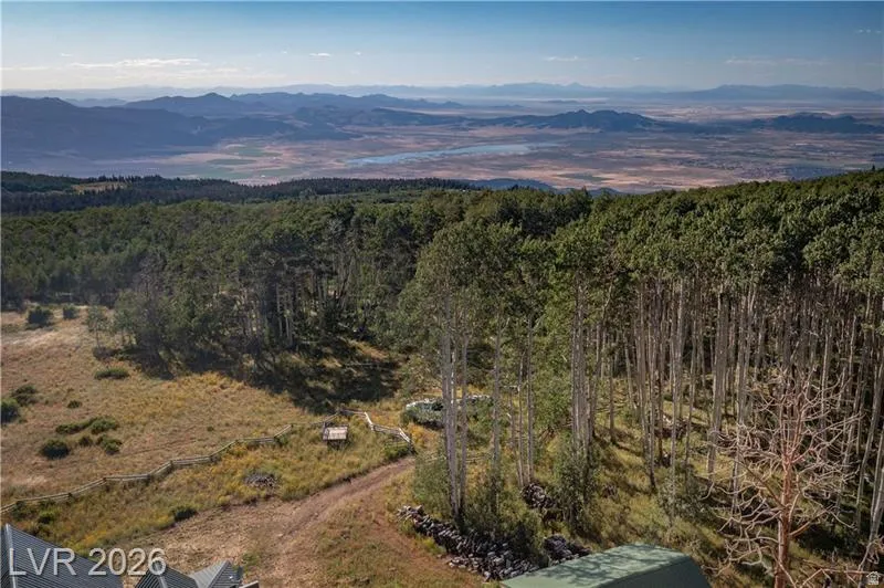 Bird's eye view of a mountain backdrop and a heavily wooded area