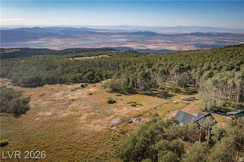 Drone / aerial view of a forest