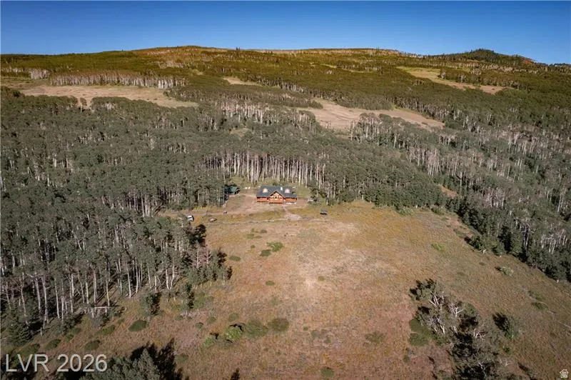 Overview of rural landscape featuring a heavily wooded area