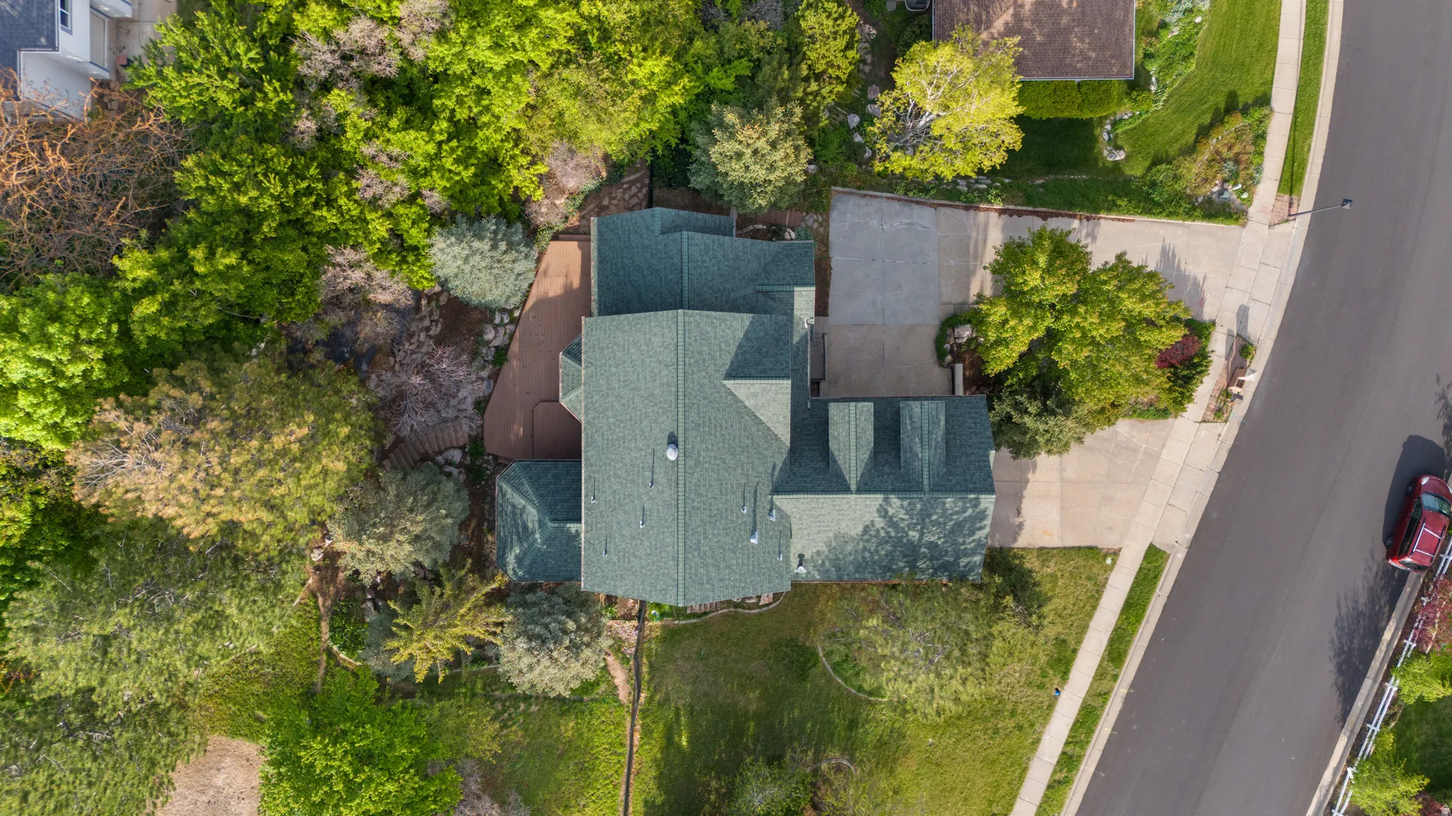 Drone / aerial view of a tree filled landscape