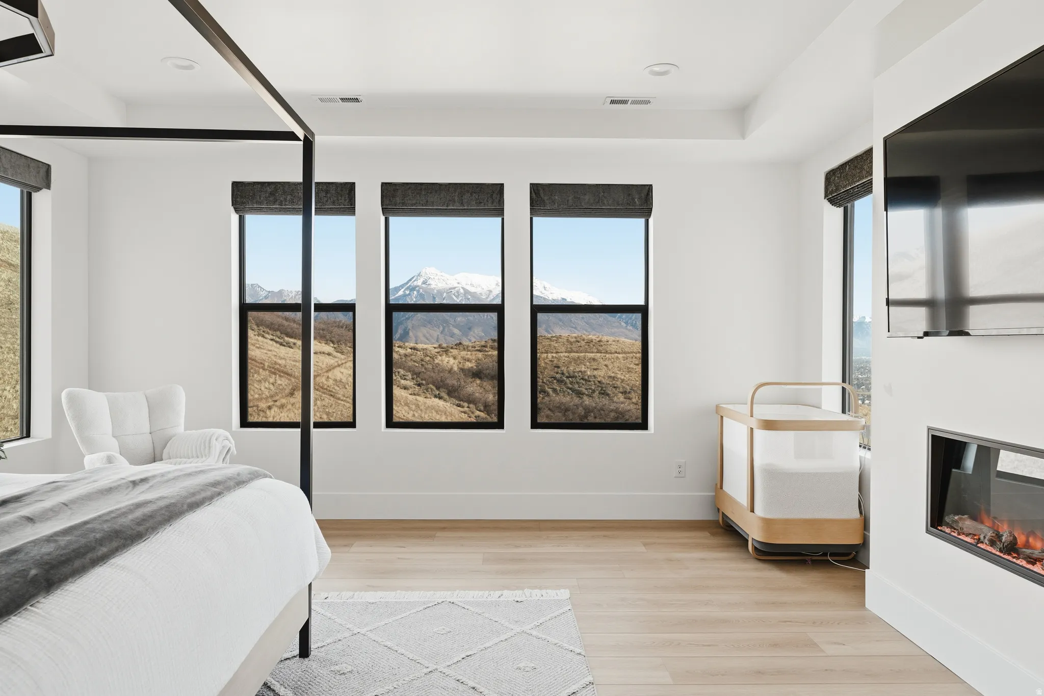 Bedroom with a glass covered fireplace, light wood-type flooring, and multiple windows
