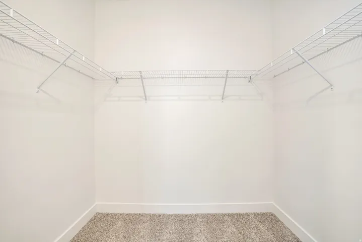 Walk in closet featuring carpet flooring