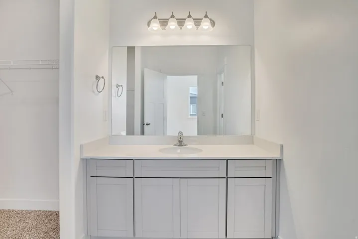Bathroom featuring vanity and a walk in closet