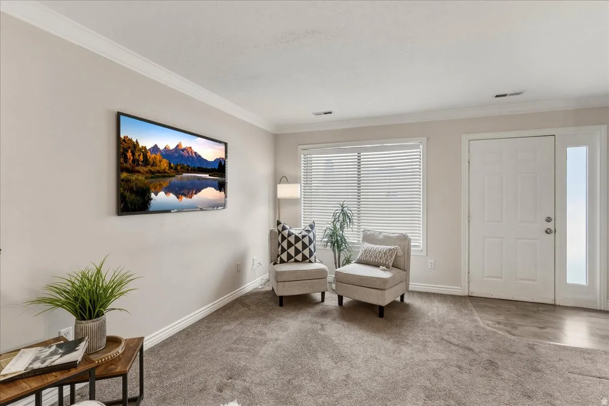Living area featuring ornamental molding and carpet floors
