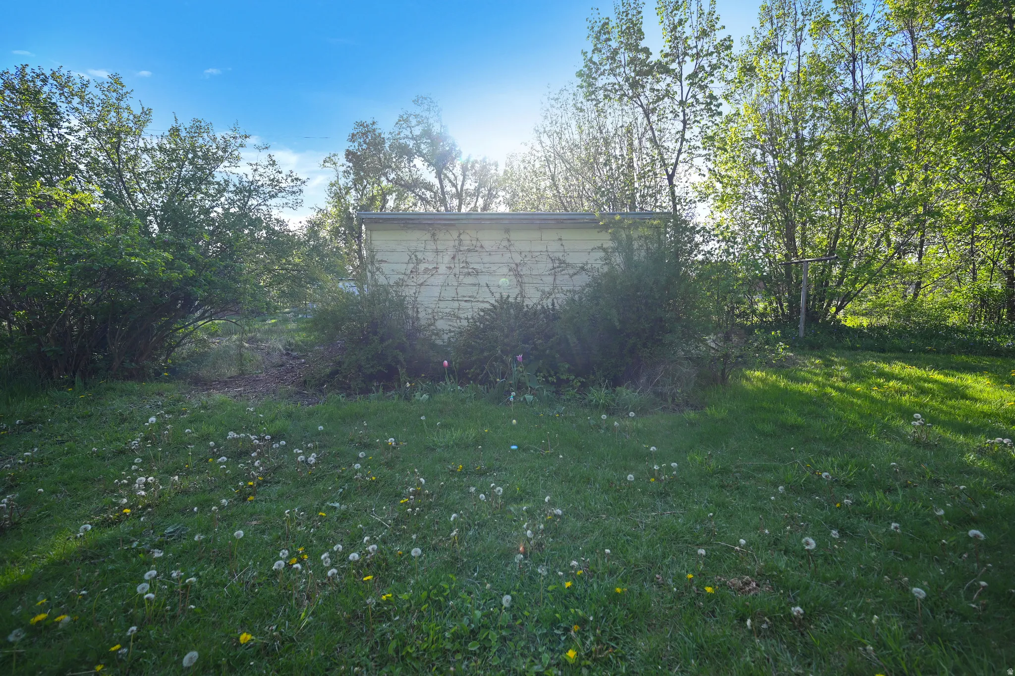 Backyard/shed