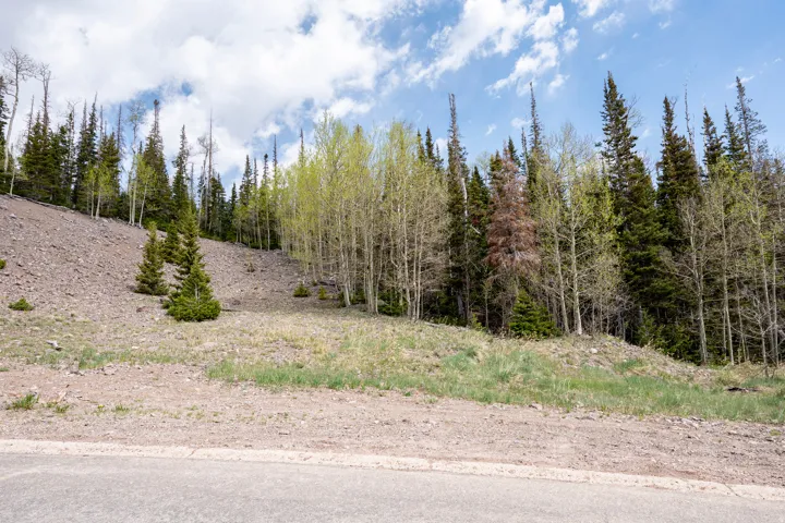 199 Hunter Ridge Dr, Brian Head, Utah 84719