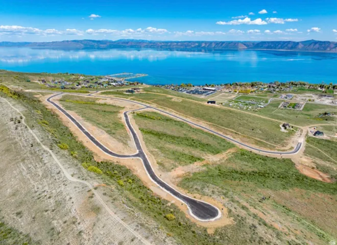 Aerial view of a water and mountain view