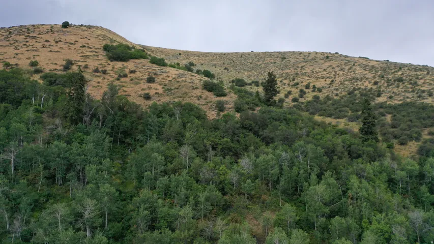 View of mountain backdrop