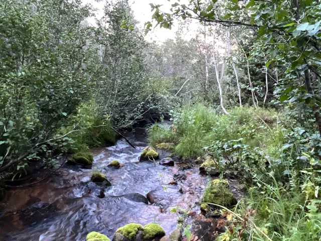 View of nature