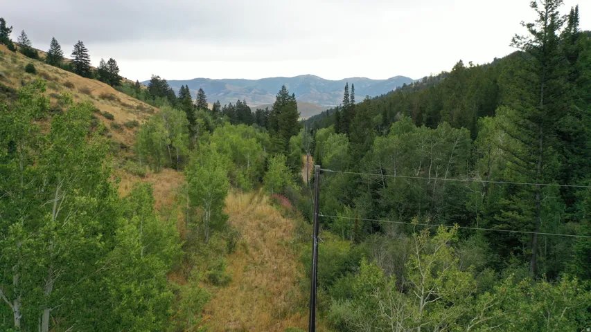 Mountain view with a forest