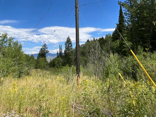 View of undeveloped land
