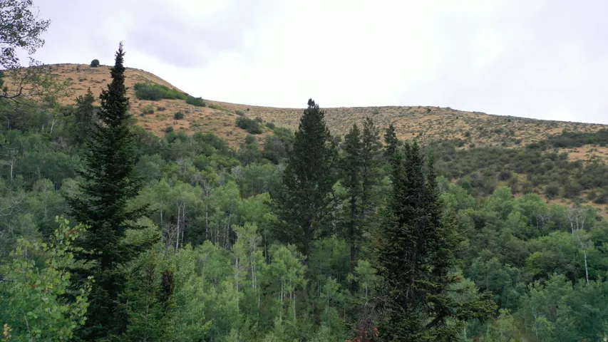 View of mountain background