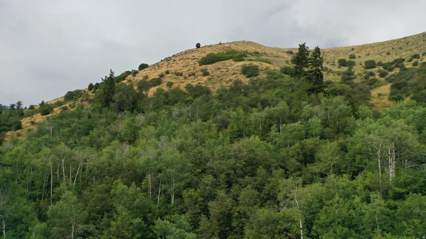 View of mountain backdrop