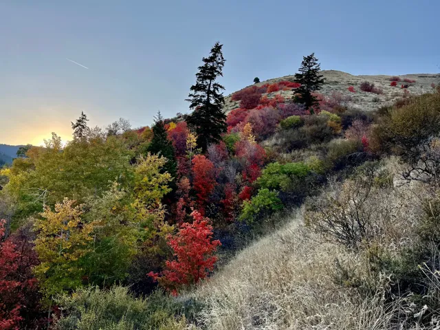 Mountain view
