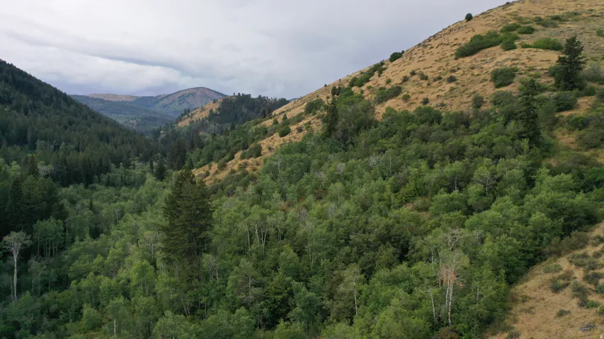 View of mountain backdrop