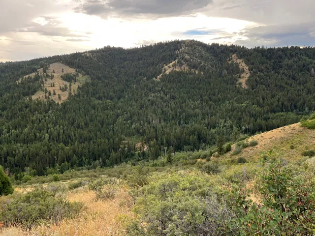 View of mountain backdrop featuring a heavily wooded area