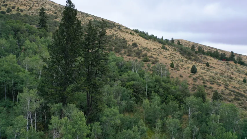View of mountain background