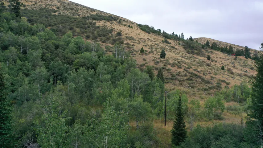 View of mountain background